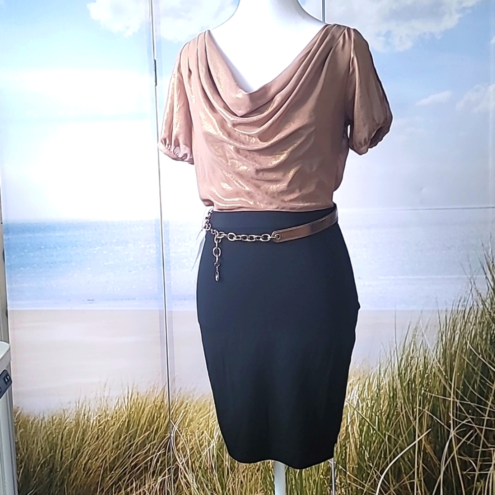 NWT Bebe Formal Mini Dress